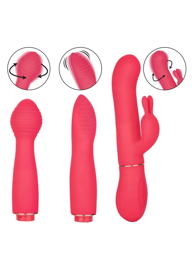 Dynamic Trio Interchangeable Vibrator CalExotics Female Sex Toys