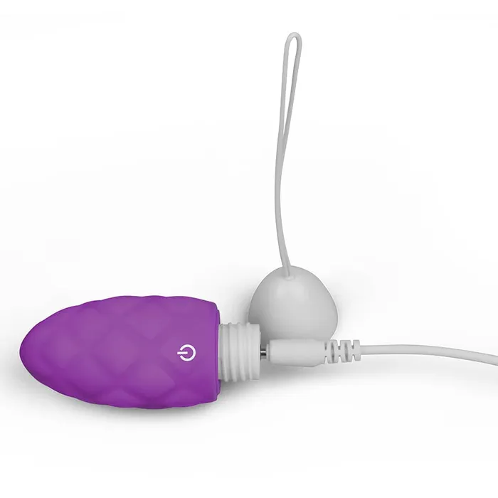Vibrator for Her Wireless Remote Control Rechargeable Egg LOVETOY Female Sex Toys
