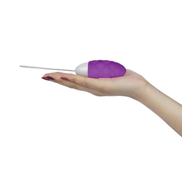 Vibrator for Her Wireless Remote Control Rechargeable Egg LOVETOY Female Sex Toys