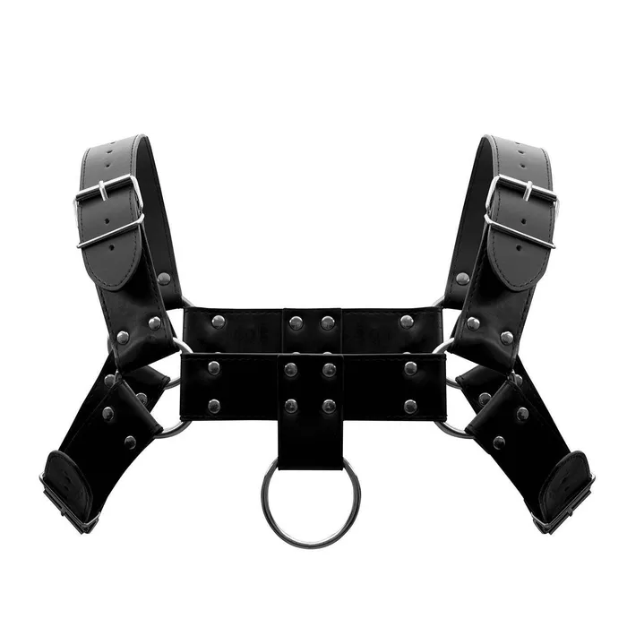 Male Power Female Sex Toys Leather Aries Harness
