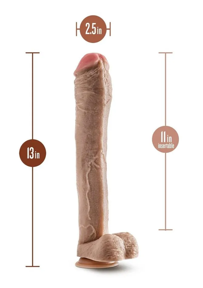 Dildos Dr Skin Dr Skin Mr Ed Dildo with Balls and Suction Cup